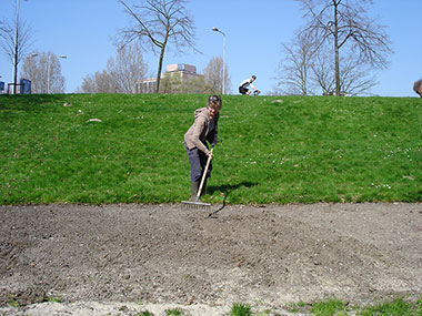 zaaien